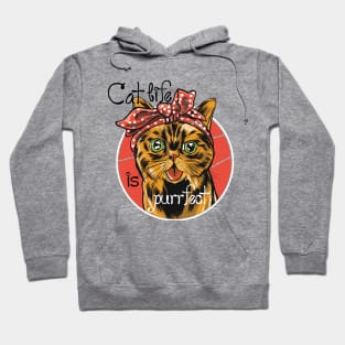 Cat Life Is Purrfect Hoodie